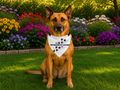 Spoiled & Loved Clip-on Pet Bandana